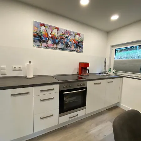 Apartment Haus Am Iberg 4 Willingen (Upland)